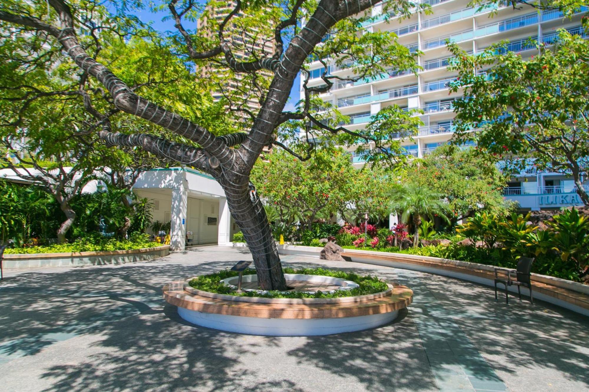 Ilikai Tower 525 City View 2BR Honolulu Bagian luar foto
